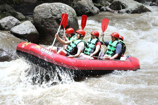 Ayung River Rafting - Ayung River Rafting Overview