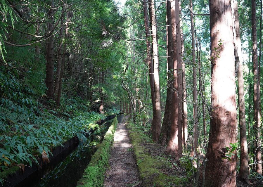 Azores: São Miguel and Lagoa Do Fogo Hiking Trip - Good To Know