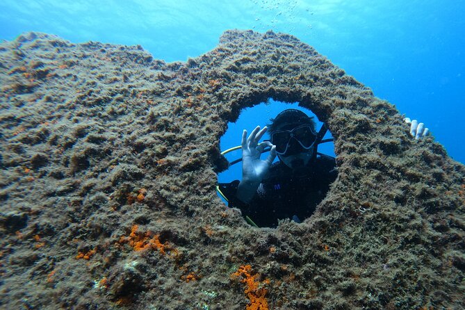 Azores Shipwreck Scuba Expedition With Hotel Pickup  - Terceira - Scuba Expedition Details