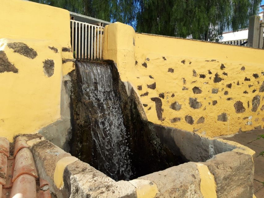 Azuaje Laurisilva Tour - Good To Know