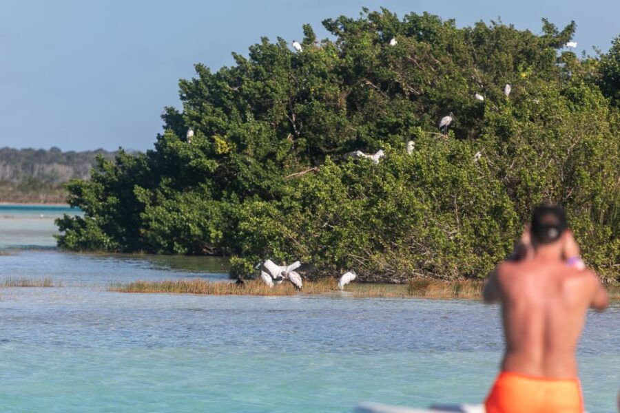 Bacalar: Full Day Kayak Rental in the Lagoon of Seven Colors - Good To Know