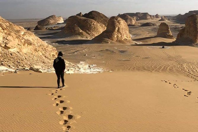 Bahariya Oasis White Desert 2-Day Camping Tour From Cairo - Good To Know