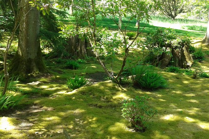 Bainbridge Island Nature Reserve Walk With Lunch