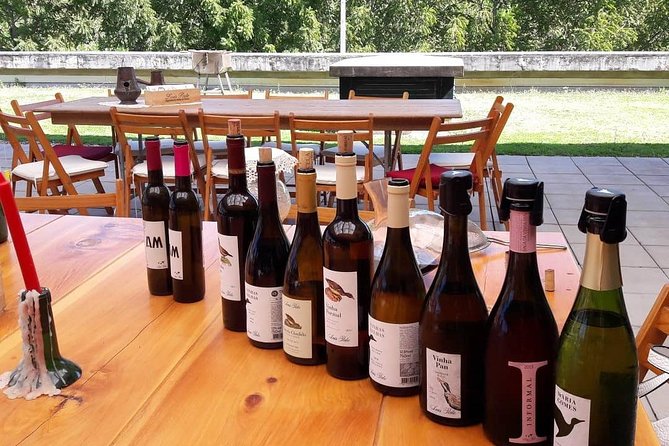 Bairrada Is Sparkling Wine and More - Good To Know