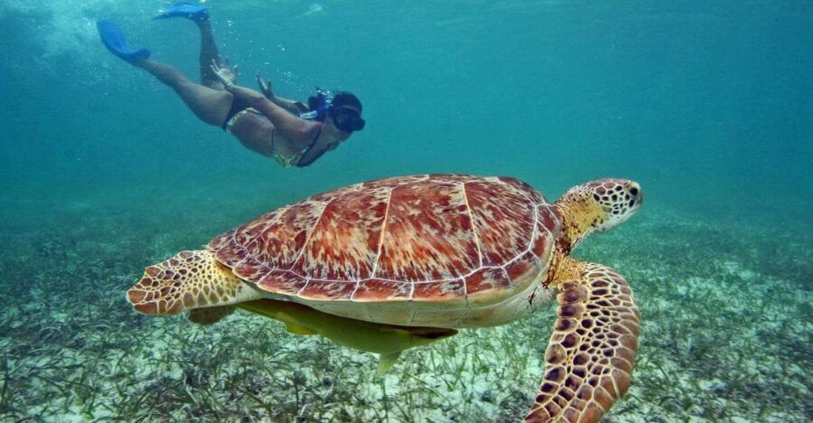 Bali: 3-Day Private Gili Islands Snorkel Tour With Hotel - Good To Know