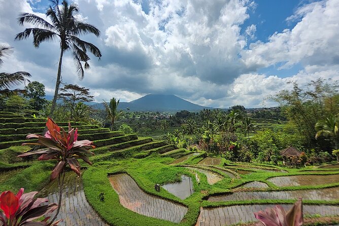 Bali 4WD Adventure WakaLand UNESCO Jatiluwih Trip in Bali Outback - Good To Know