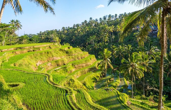 Bali Adventures: Water Rafting -Jungle Swing-Rice Terraces - Good To Know