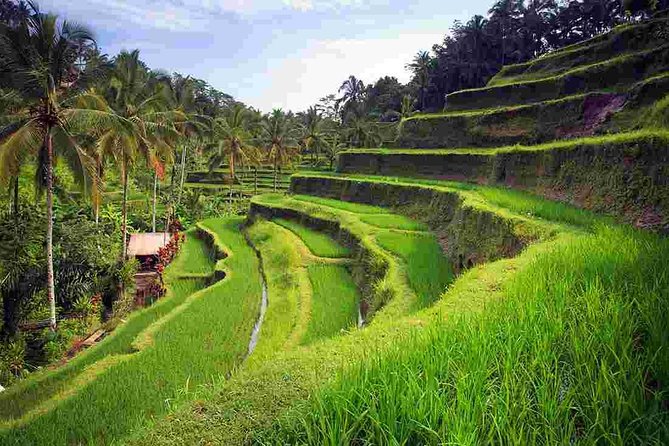 Bali All Inclusive: Ubud Rice Terraces, Temples & Volcano - Good To Know
