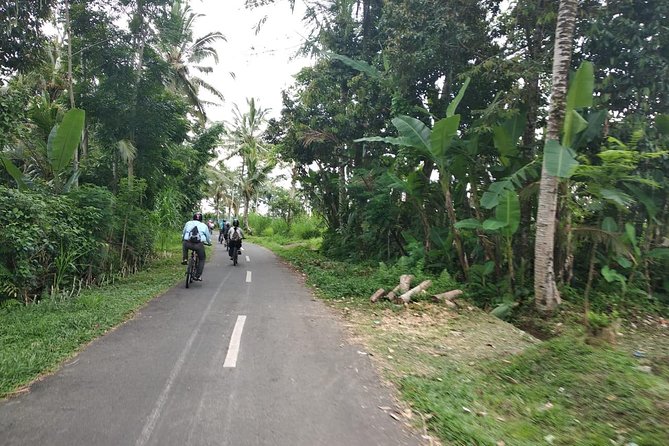 Bali Amazing Cycling Tour - Good To Know