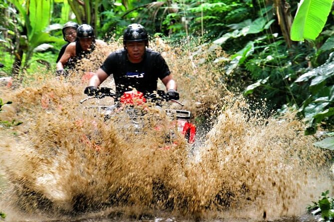 Bali ATV Quad Bike Adventure With Ubud Swing and Monkey Forest - Good To Know