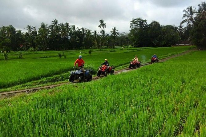 Bali ATV Quad Biking Tour Ubud Best ATV Tour