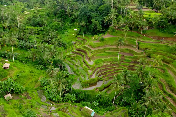 Bali ATV Ride And Ubud Tour Packages : Best Quad Bike Trip