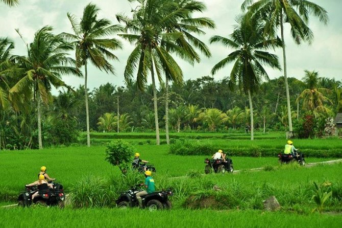 Bali ATV Ride Ubud All Include - Good To Know