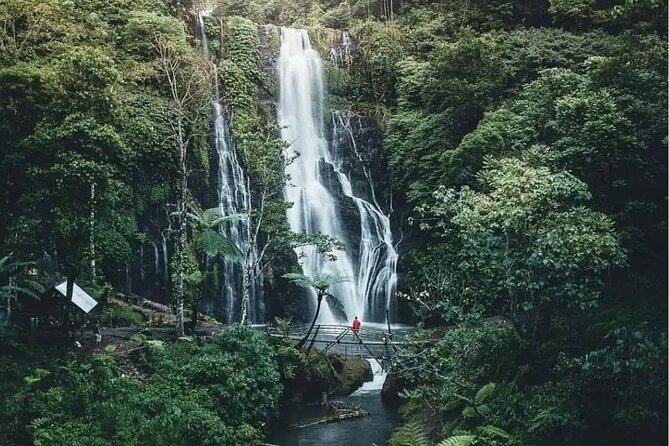 Bali: Banyumala Waterfall , Handara Gate, Wanagiri Hidden Hills - Highlights of Banyumala Waterfall
