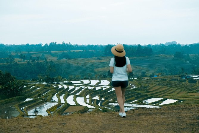 Bali, Bedugul Full-Day Tour With Sunset at Tanah Lot Temple  - Seminyak - Good To Know