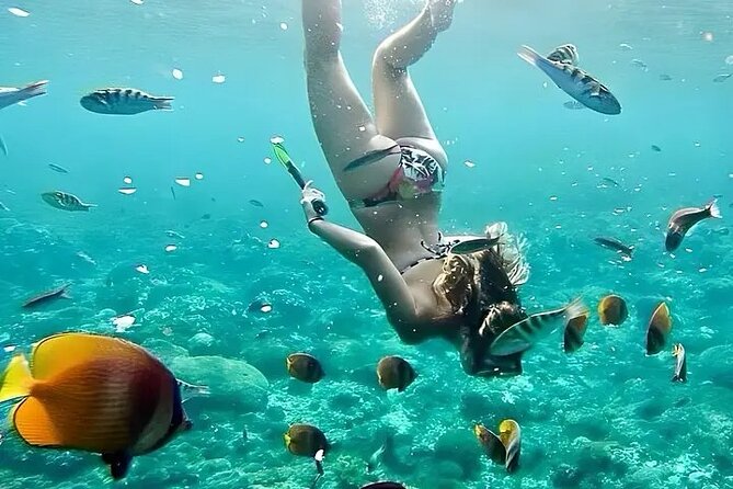 Bali Blue Lagoon Snorkeling With Bali Swing, Lunch and Transfer - Good To Know