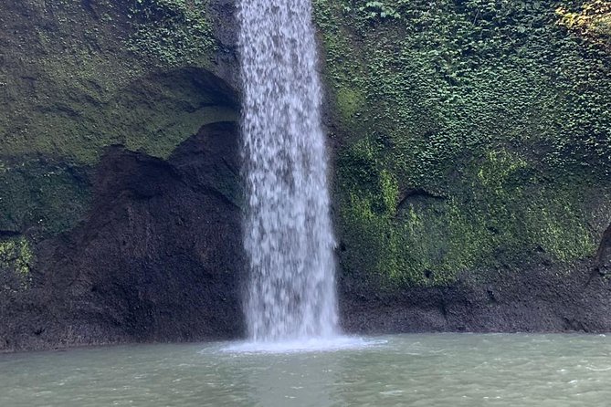 Bali Car Hire With Private Chauffeur - Good To Know