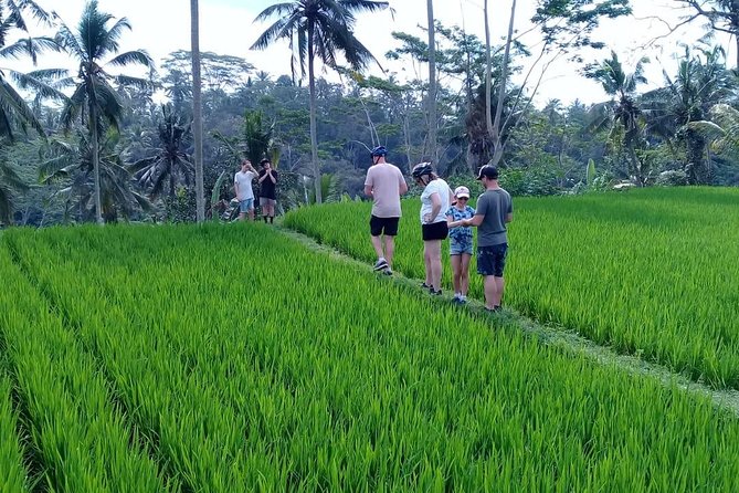 Bali Countryside Cycling Adventure - Good To Know