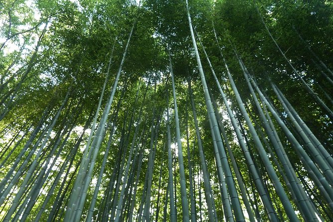 Bali Culture And Bamboo Forest Tour - Good To Know