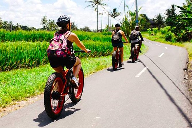 Bali Cycling Tour From Ubud to Tirta Empul With E-Bike - Good To Know