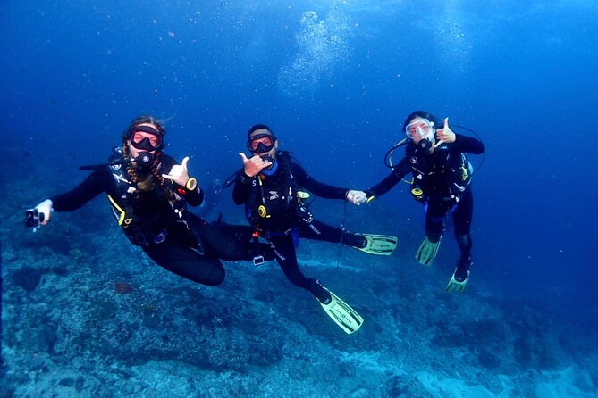 Bali Diving at Tanjung Benoa - Good To Know