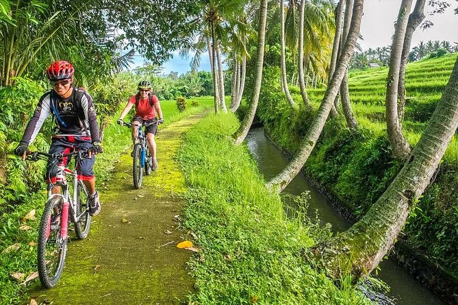 Bali Downhill Cycling and White Water Rafting