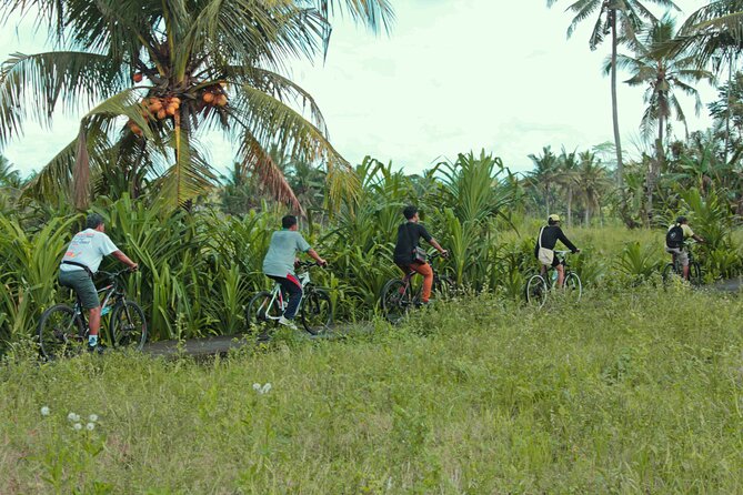 Bali Eco Cycling Tour - Experience Highlights