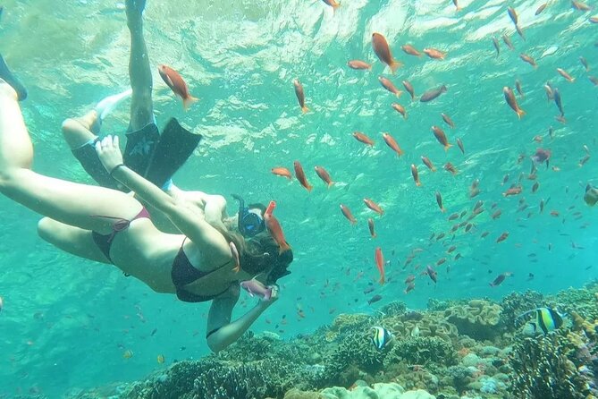 Bali Experience Blue Lagoon Snorkeling and Hidden Waterfall - Good To Know