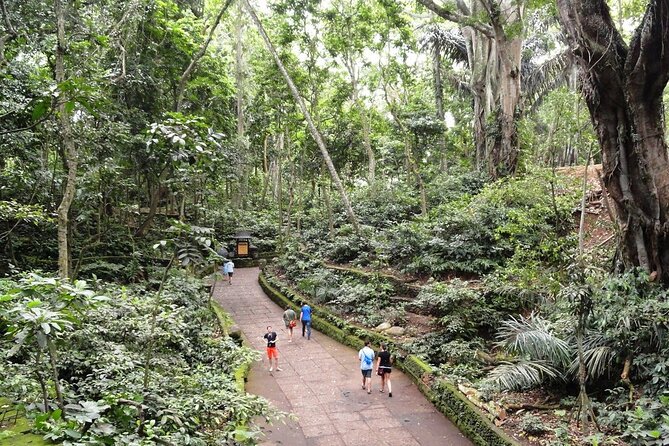 Bali: Full-Day Customized Bali Tour With Hotel Transfers - Good To Know