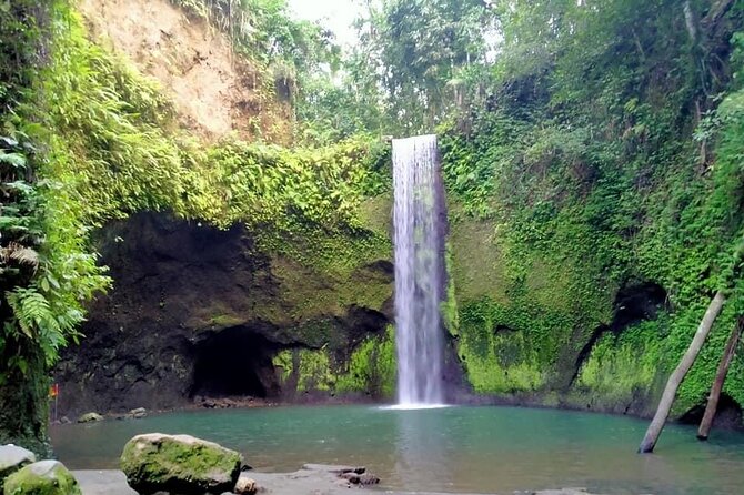 Bali Full Day Tour - Snorkeling at Blue Lagoon and Waterfall Tour - Good To Know