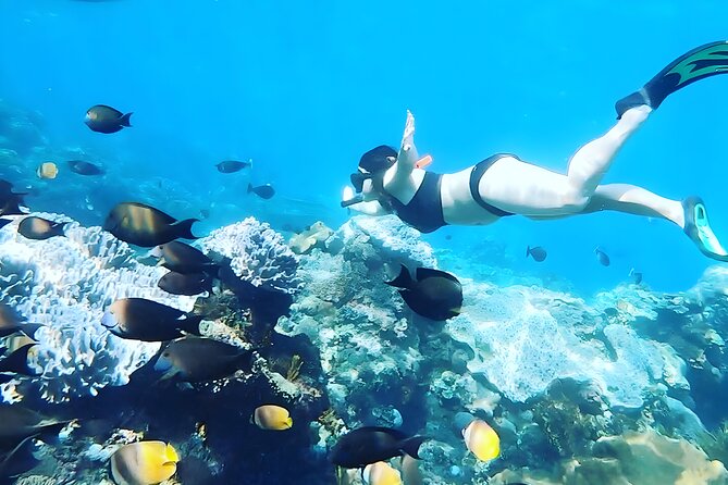 Bali Full-Day Tour to Exploring Nusa Penida Island With Snorkeling From Bali