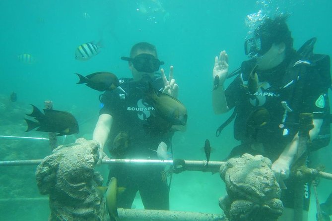 Bali Fun Scuba Dive for Beginners at Tanjung Benoa Beach - Good To Know