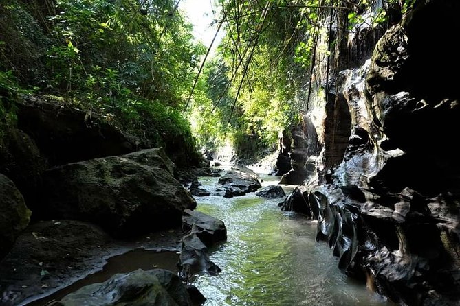Bali Hidden Canyon Ticket Admission All Inclusive - Good To Know