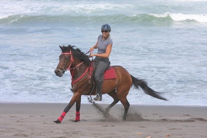 Bali Horse Riding - Beach, Rice Field & Village - Morning, Afternoon, and Sunset - Good To Know