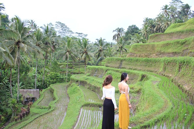 Bali Instagram Group Tour With Swing, Lunch, and Onboard Wi-Fi (Feb ) - Good To Know