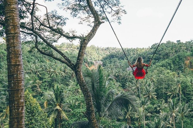 Bali Instagram Tour From Your Hotel (Private & Full-Day)