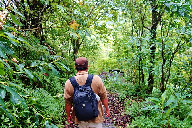 Bali Jungle Trekking, Ulun Danu, Jatiluwih and Tanah Lot Tour