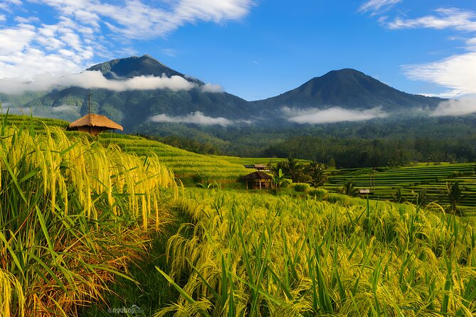 Bali Lakes, Temples, and Hot Springs Private Tour With Lunch (Feb ) - Good To Know