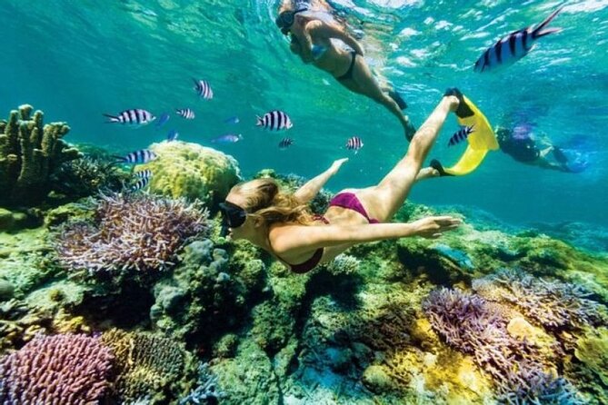 Bali: Lempuyang Temple With Snorkeling at Blue Lagoon Beach
