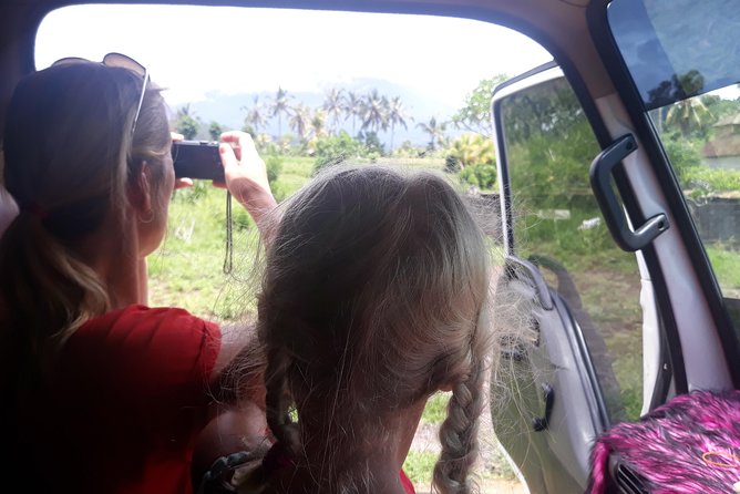 Bali Mini Bus And Car Individual Charter All Inclusive - Good To Know