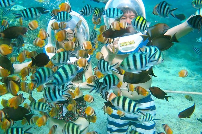 Bali Ocean Walker - Good To Know