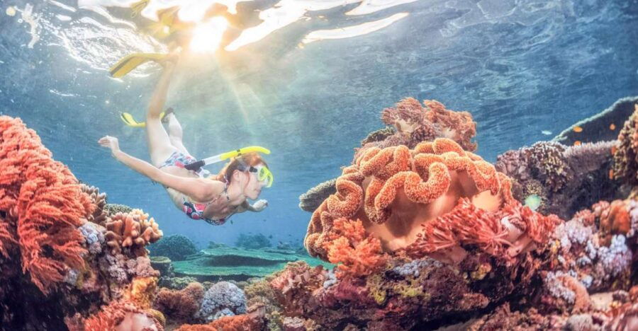 Bali: Padangbai Blue Lagoon Snorkeling Day Trip - Good To Know