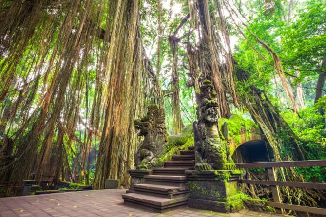Bali Private Day Tour – Highlight of Ubud