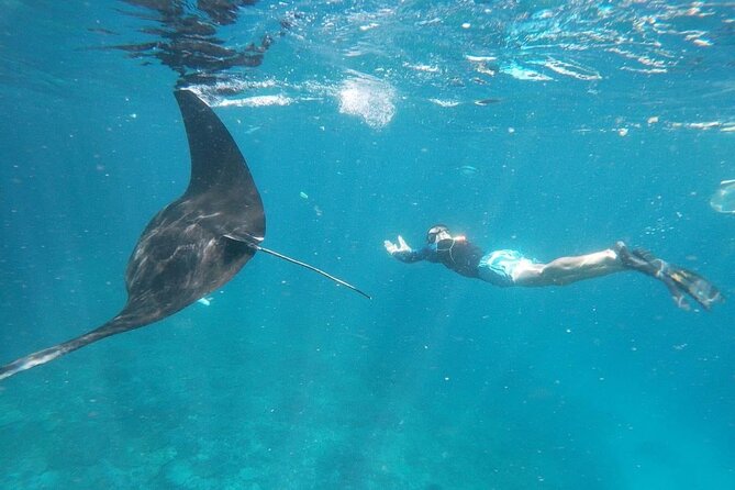 Bali Private Snorkeling (Manta, Gamat, Crystal) and Nusa Penida Tour