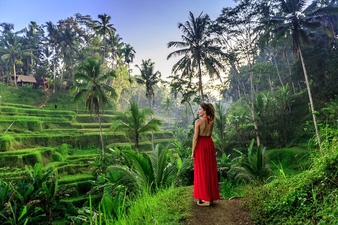 Bali Private Tour - Best of Ubud - All Inclusive - Good To Know