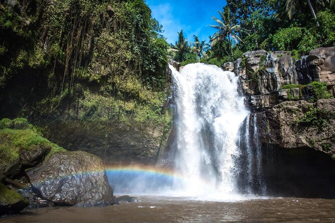 Bali Private Tour Ubud and Kintamani Including Lunch and Waterfall - Good To Know