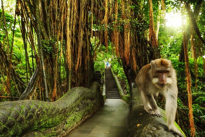 Bali Private Tour: Waterfall, Monkey Forest and Tanah Lot Sunset - Good To Know