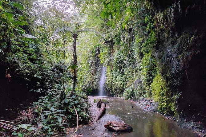 Bali Private Waterfall Tour - Ubud - Good To Know