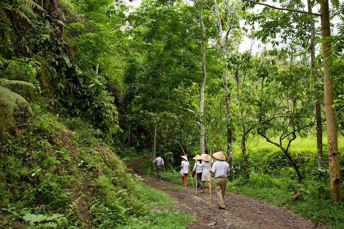 Bali Pure Trek With Spiritual Journey, Purification Ceremony, Local Priest -Ubud - Good To Know