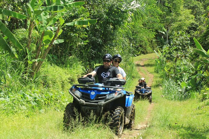 Bali Quad and Buggy Explorer Tour - Good To Know
